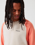 Patagonia P-6 Logo Crew Neck Sweatshirt - Bimsstein