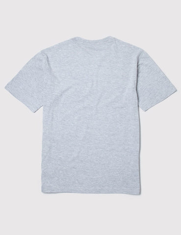 Dickies Hastings T-Shirt - Grau