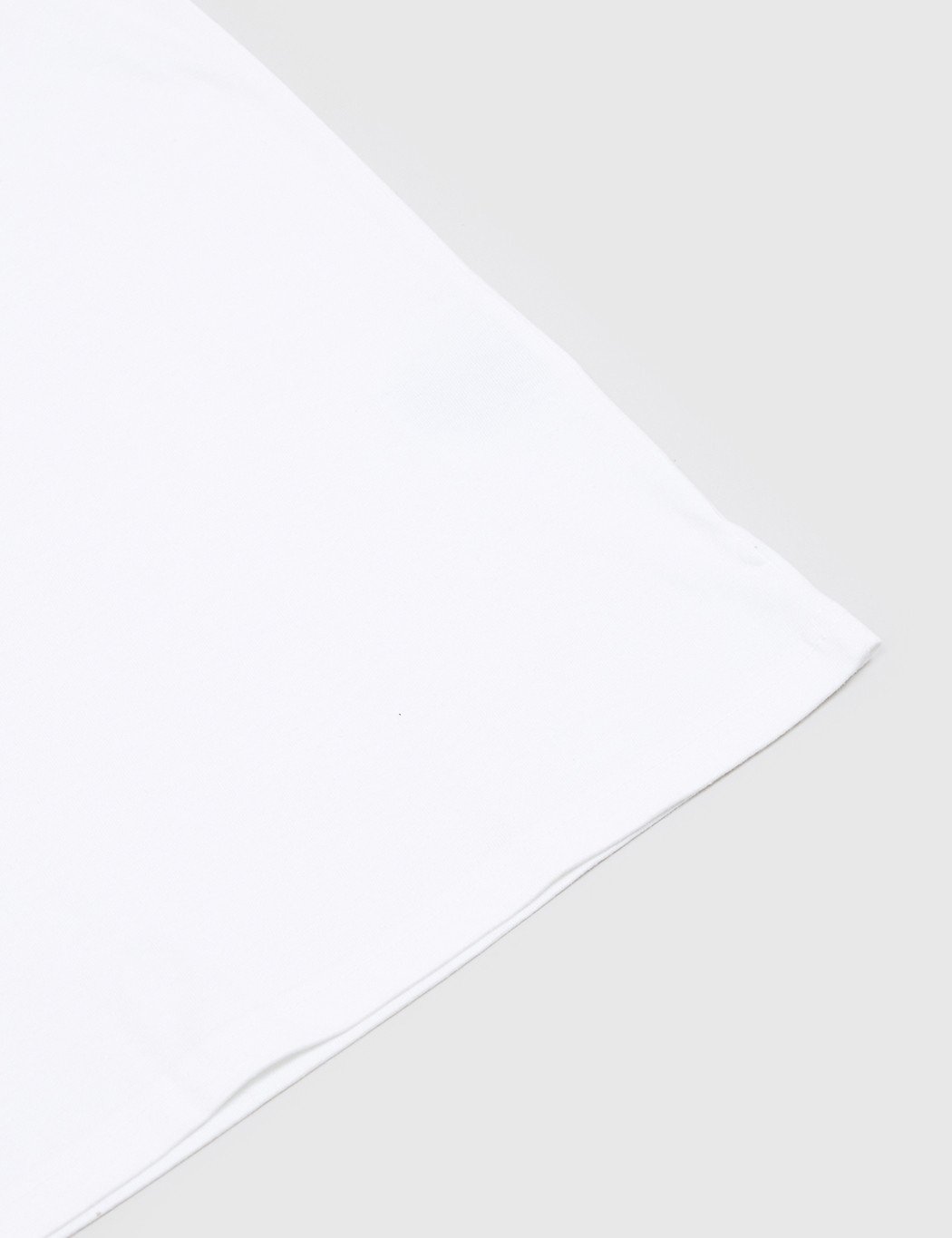 Carhartt Chase T-Shirt - White